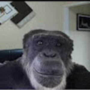 Meet your Posher, Ethan